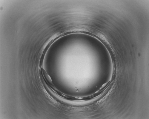 X0000061151181200511210954