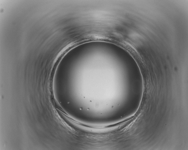 X0000061151182200511210954