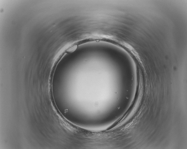 X0000061151183200511210954