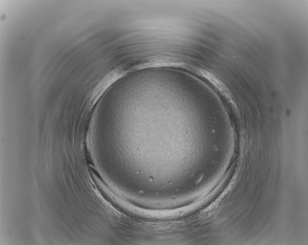 X0000061151185200511210954