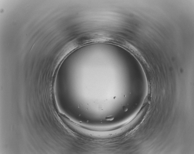 X0000061151186200511210954