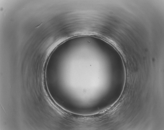 X0000061151187200511210953