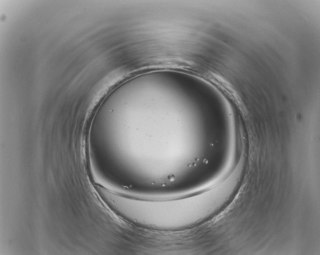 X0000061151188200511210953