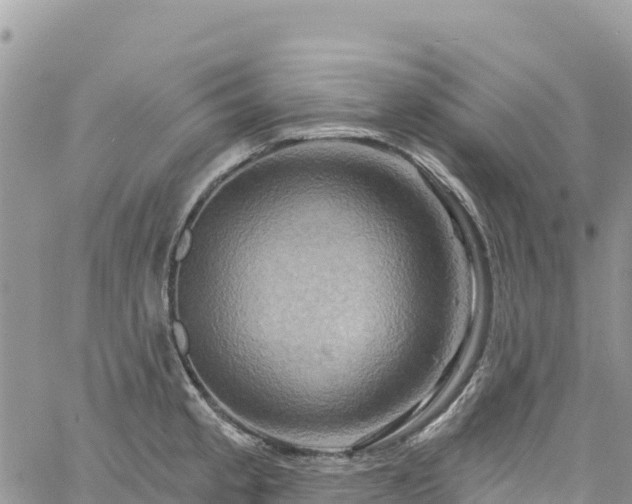 X0000061151189200511210953