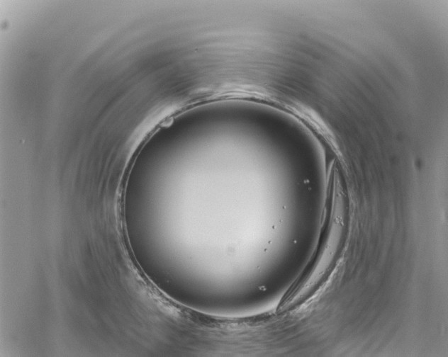 X0000061151190200511210953