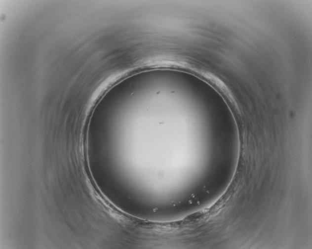 X0000061151191200511210953