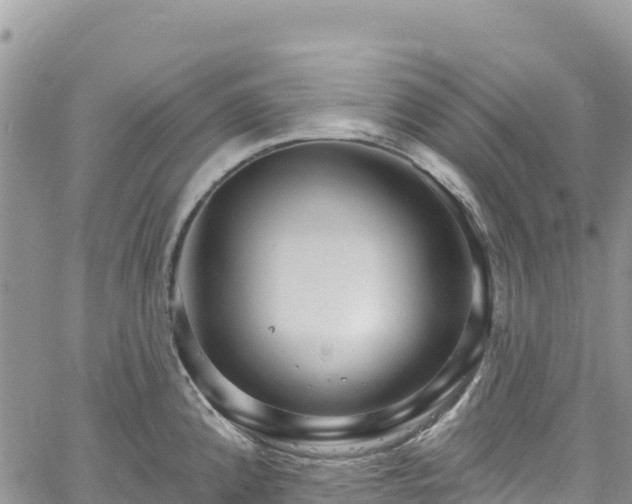 X0000061151192200511210953