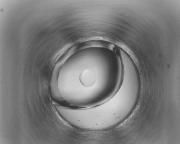 X0000061151193200511210953