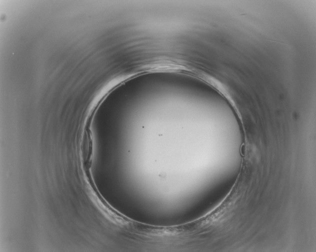 X0000061151195200511210953