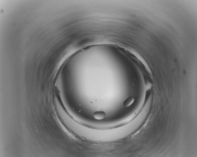 X0000061151197200511210953