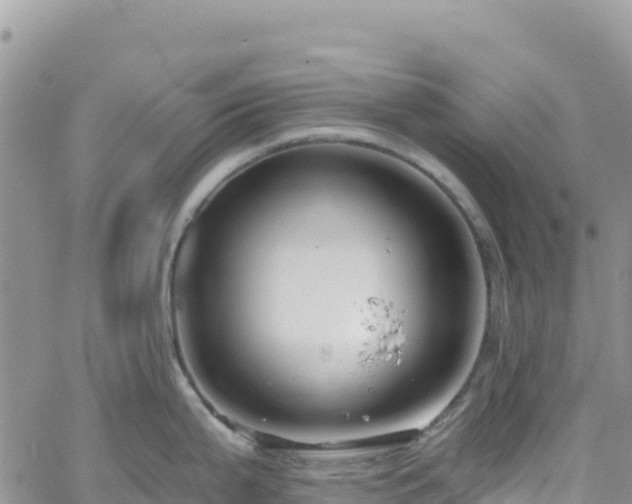 X0000061151199200511210953