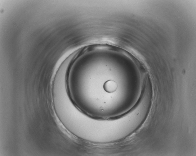 X0000061151200200511210953