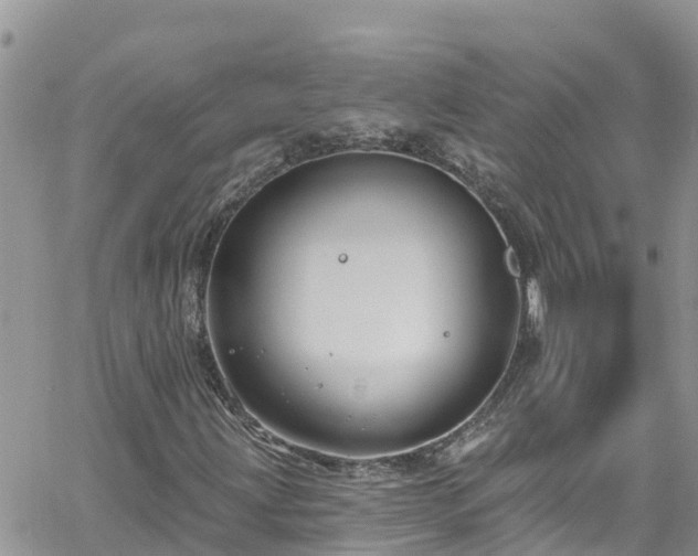 X0000061151203200511210953