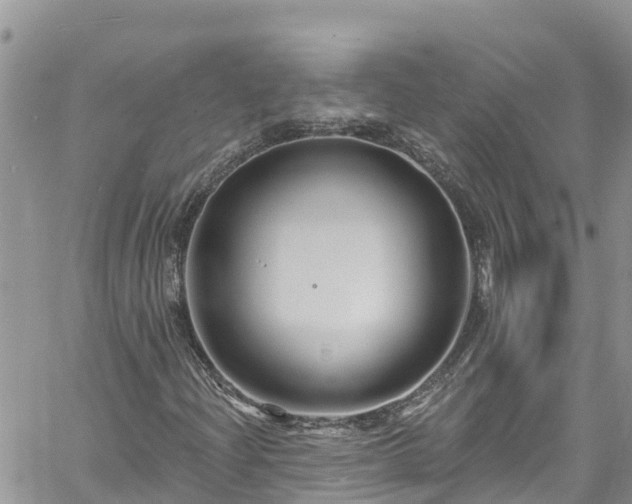 X0000061151204200511210953