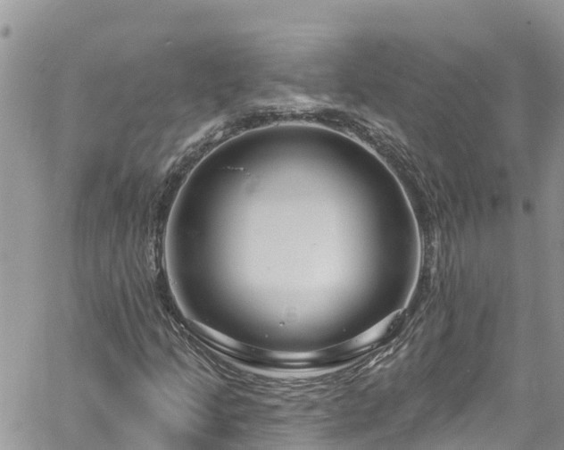 X0000061151205200511210953