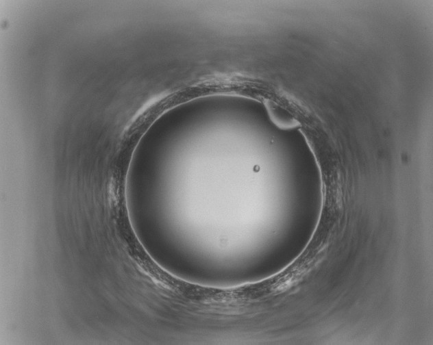 X0000061151206200511210953