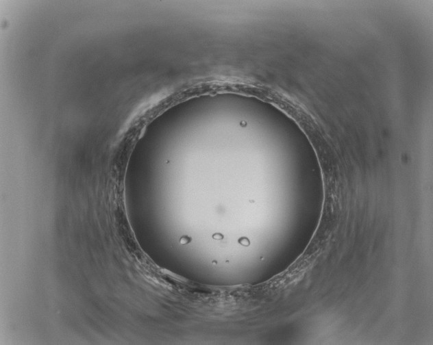 X0000061151207200511210953