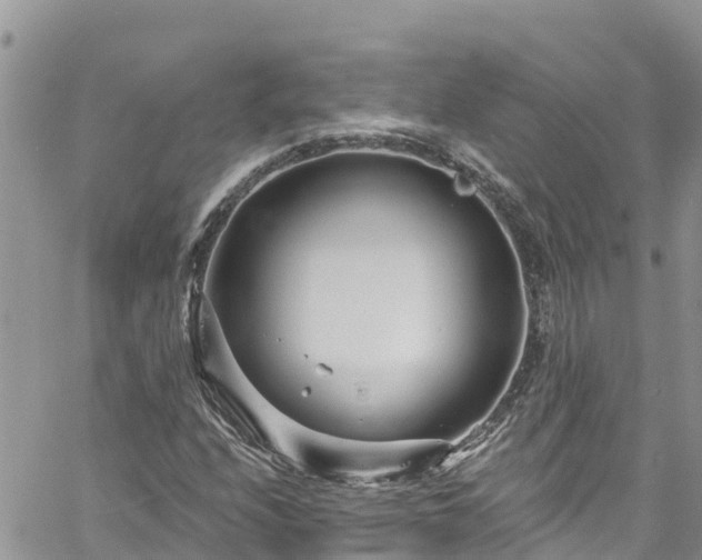 X0000061151208200511210953