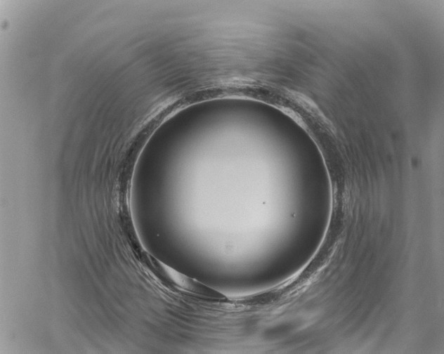 X0000061151209200511210953