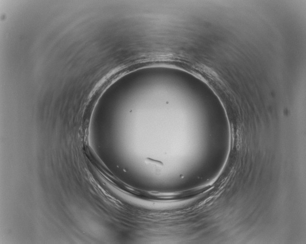 X0000061151212200511210953