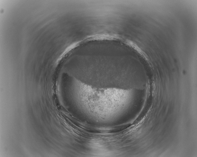 X0000061151213200511210953