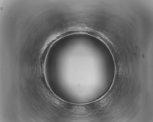 X0000061151215200511210953