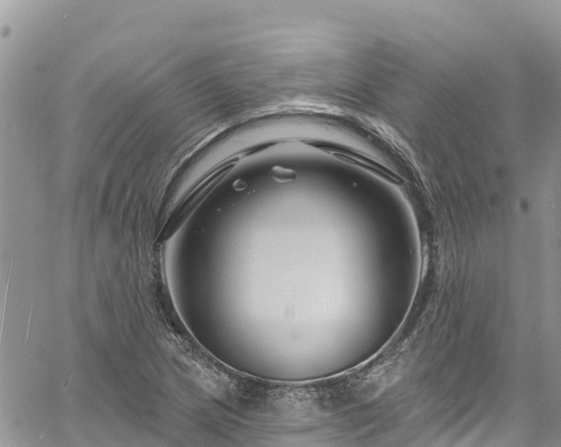 X0000061151217200511210953