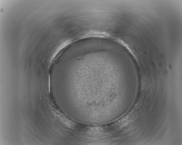 X0000061151219200511210953