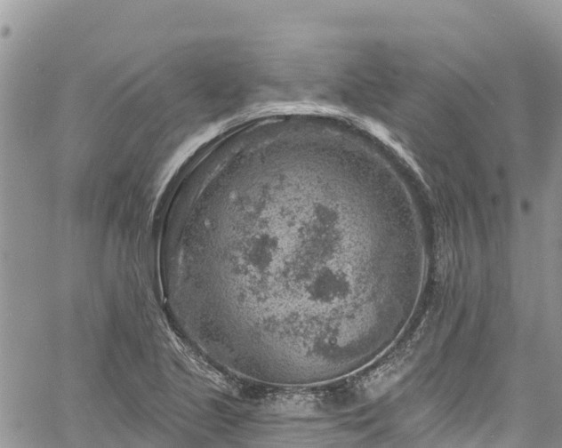 X0000061151221200511210953