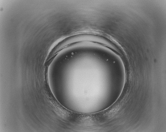 X0000061151222200511210953