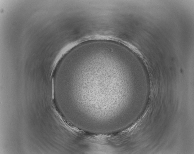 X0000061151223200511210953