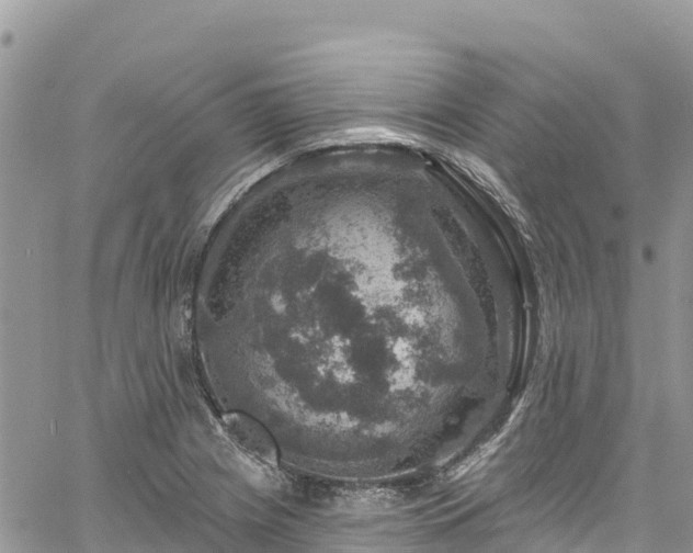 X0000061151225200511210953