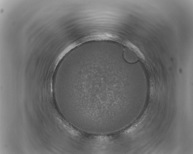 X0000061151226200511210953