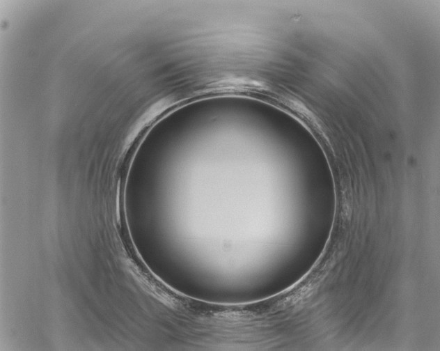 X0000061151227200511210953