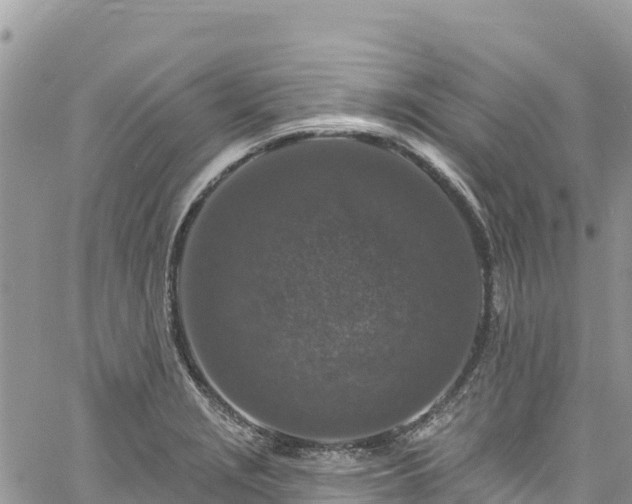 X0000061151229200511210953