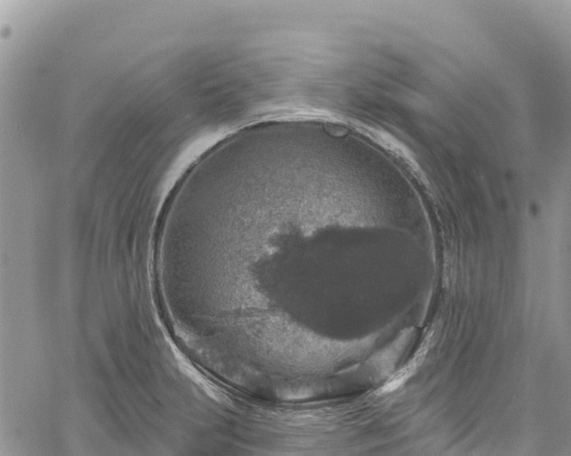 X0000061151231200511210953