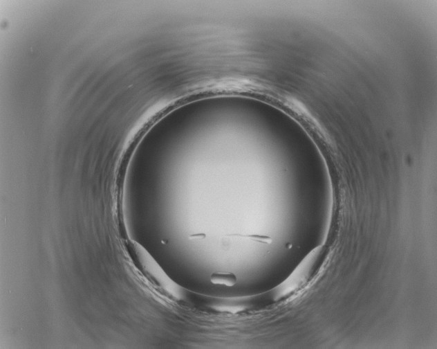 X0000061151232200511210953