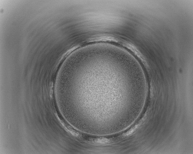 X0000061151233200511210953