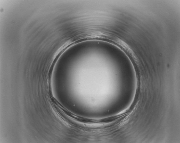 X0000061151234200511210953