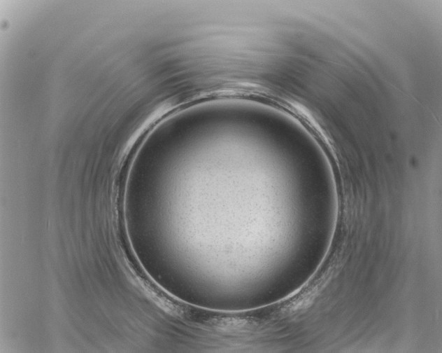 X0000061151235200511210953