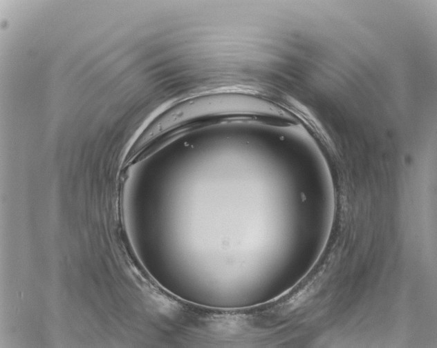 X0000061151236200511210953