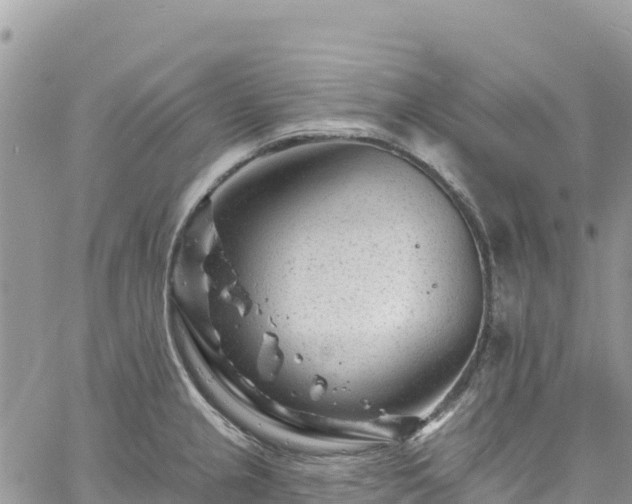 X0000061151237200511210953