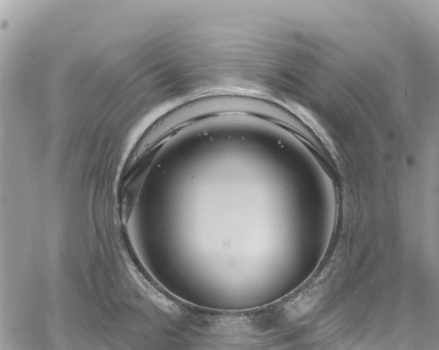 X0000061151238200511210953