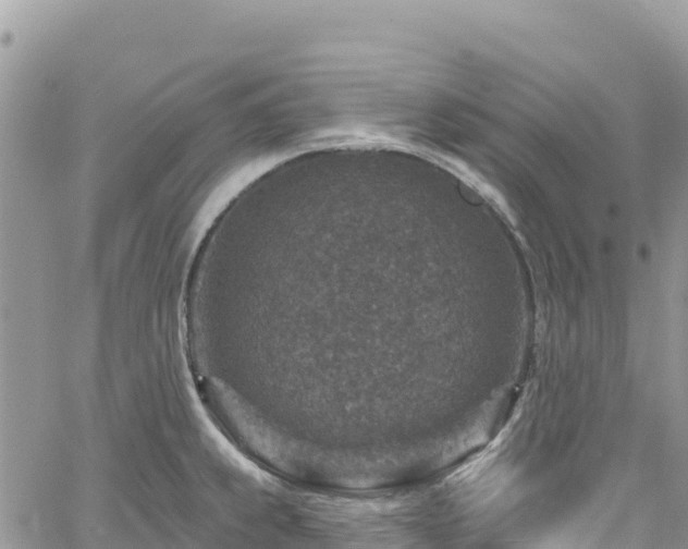 X0000061151239200511210953