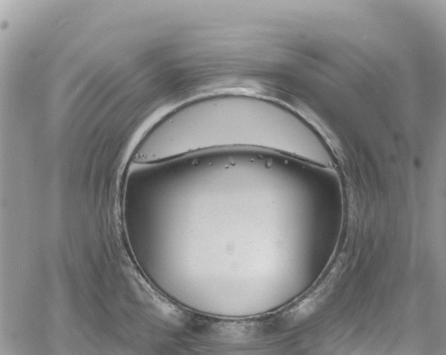 X0000061151240200511210953