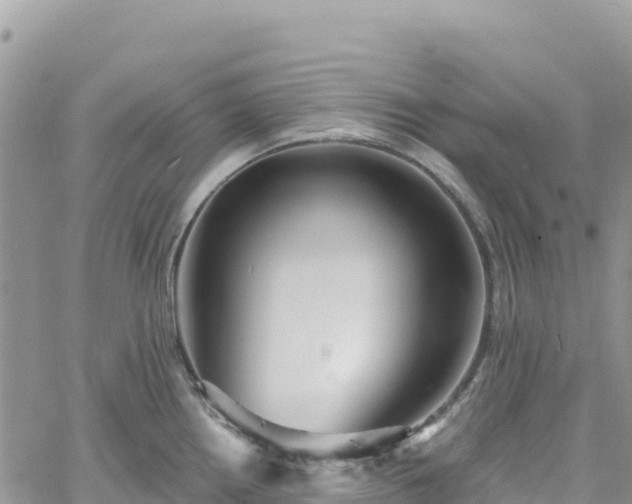 X0000061151242200511210953