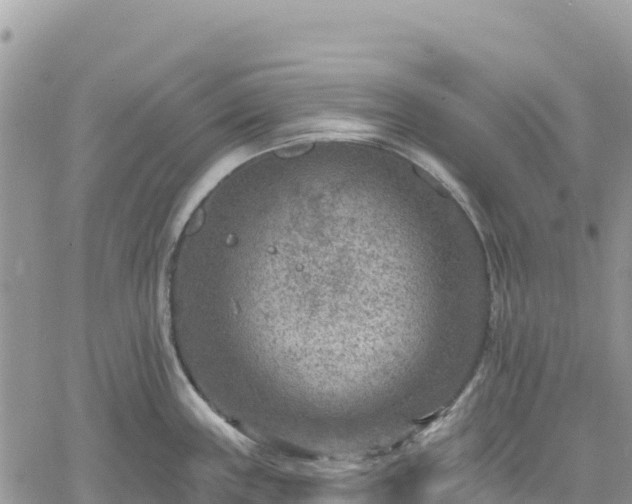 X0000061151243200511210953