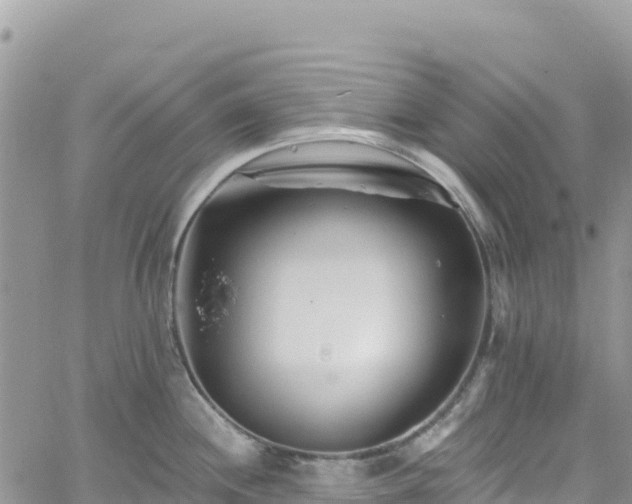 X0000061151244200511210953