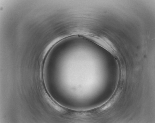 X0000061151246200511210953