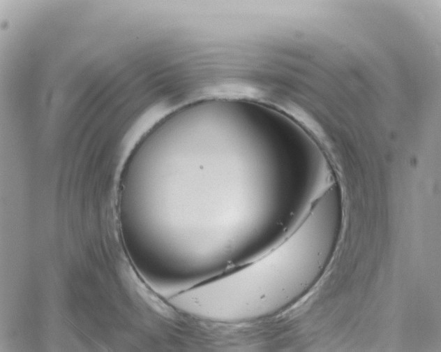 X0000061151248200511210953